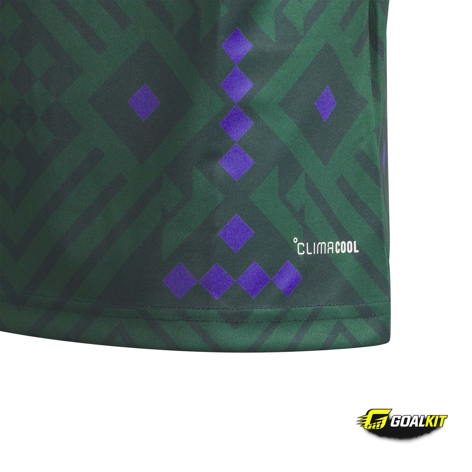 Saudi Arabia 2026 Home Jersey (Youth) photo 4