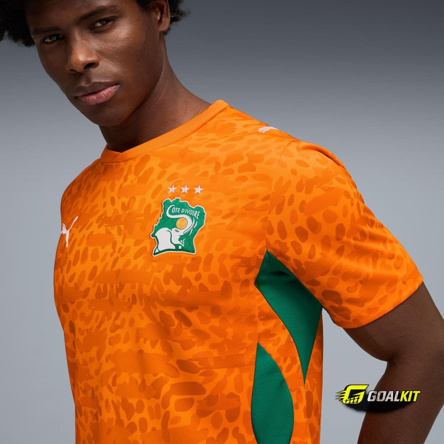 Côte d'Ivoire 2026 Home Jersey (Men's) photo 4