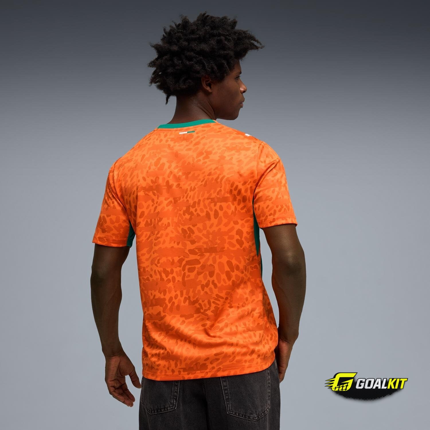 Côte d'Ivoire 2026 Home Jersey (Men's) photo 6